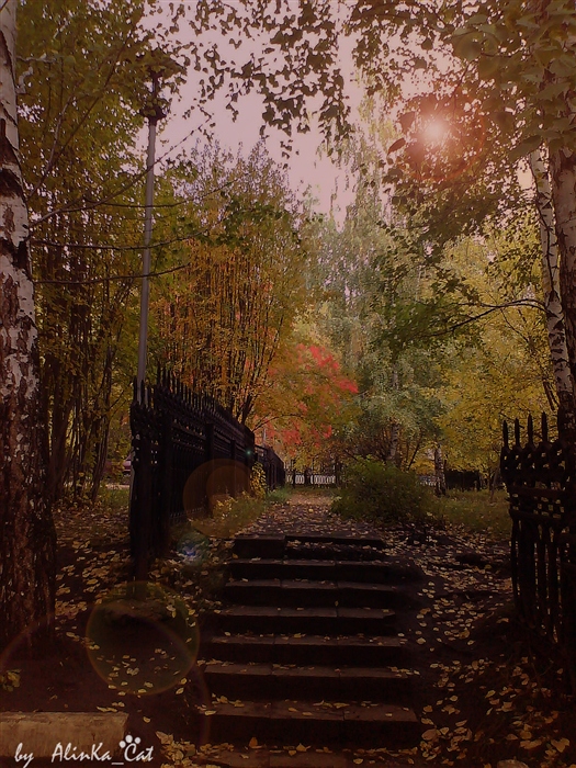Фото жизнь