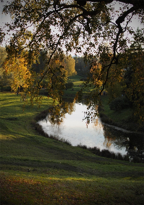 Фото жизнь
