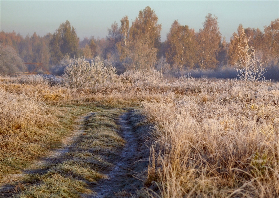 Фото жизнь