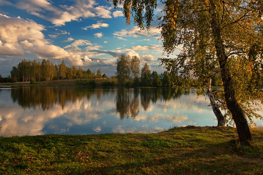 Фото жизнь