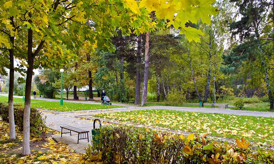 Фото жизнь