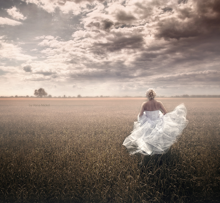 Фото жизнь (light) - lona - свадебное - ***