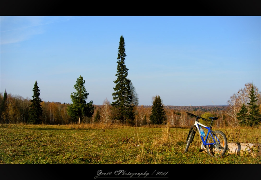 Фото жизнь