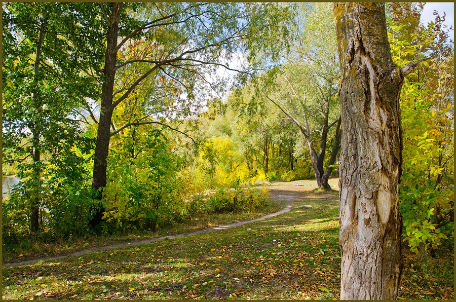 Фото жизнь