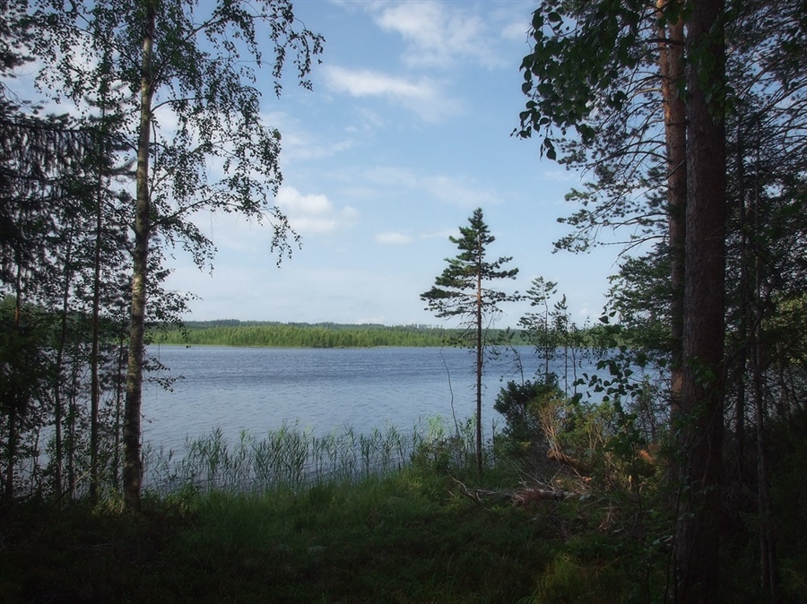 Фото жизнь