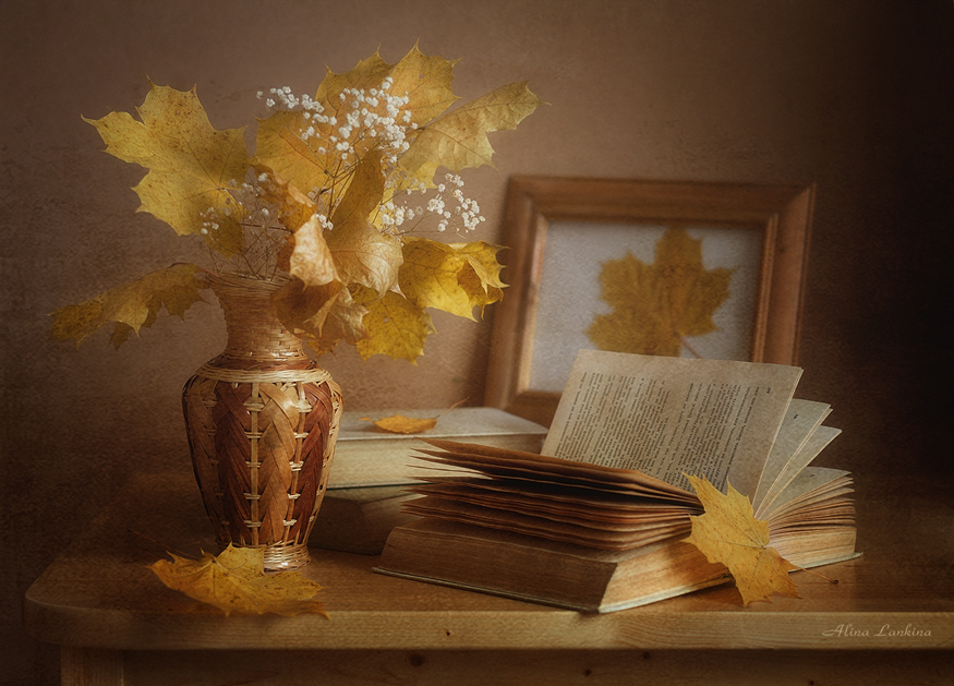 Фото жизнь (light) - Alina  Lankina - корневой каталог - Легкая грусть.....осень.....