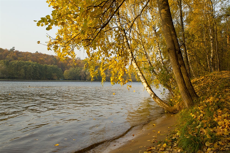 Фото жизнь