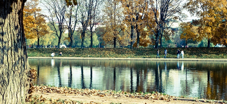 Фото жизнь
