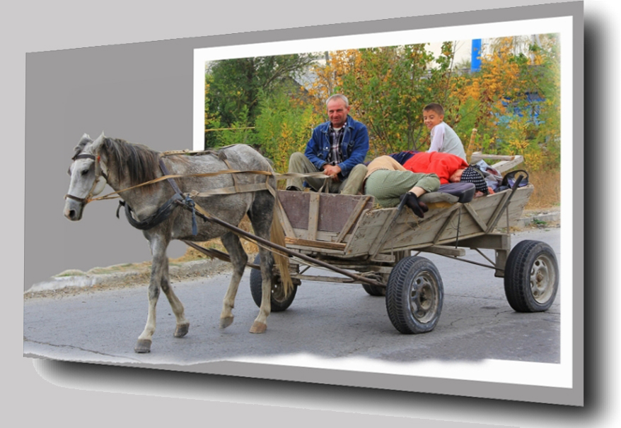 Фото жизнь