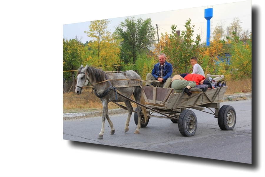 Фото жизнь