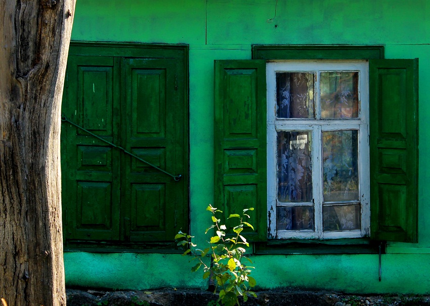 Фото жизнь - Сюзанна Шевченко - Про окна - ! green