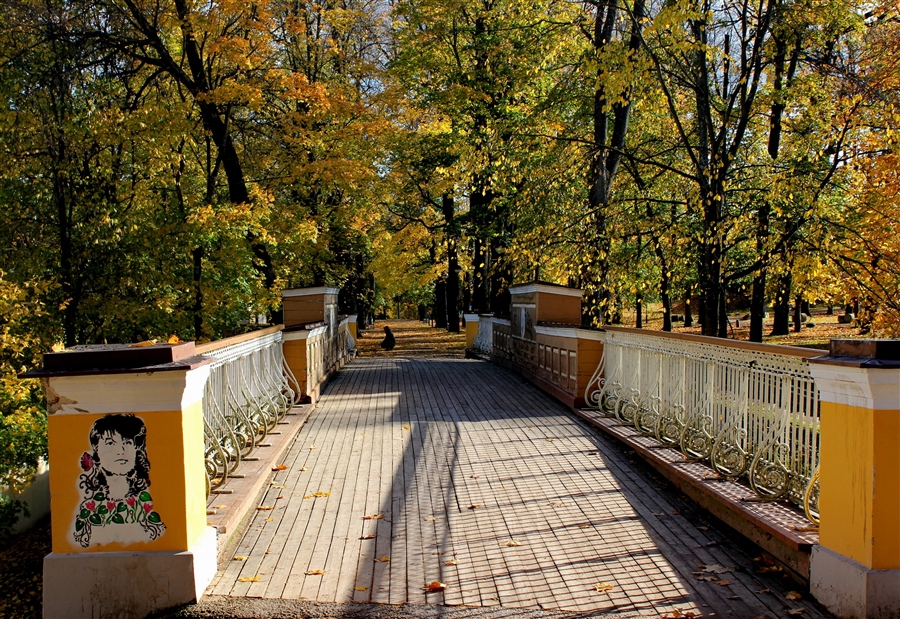 Фото жизнь