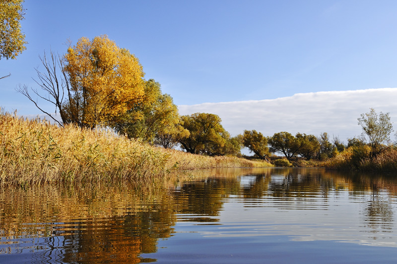 Фото жизнь - TDAdiz - Пейзаж - Осенняя река