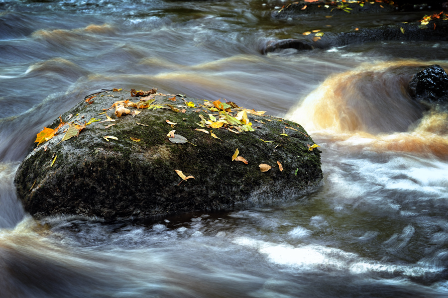 Фото жизнь (light) - Владимир Никуленко - корневой каталог - Осенний мотив