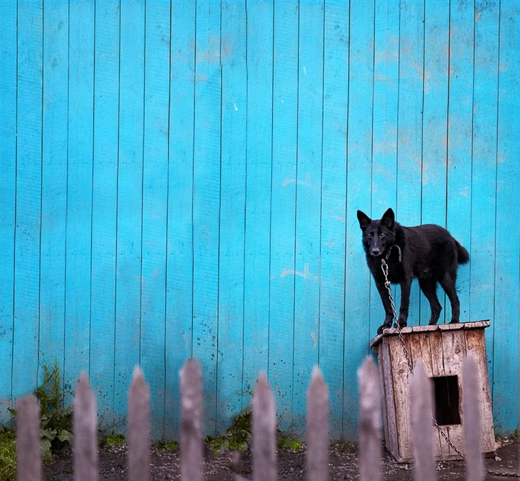 Фото жизнь