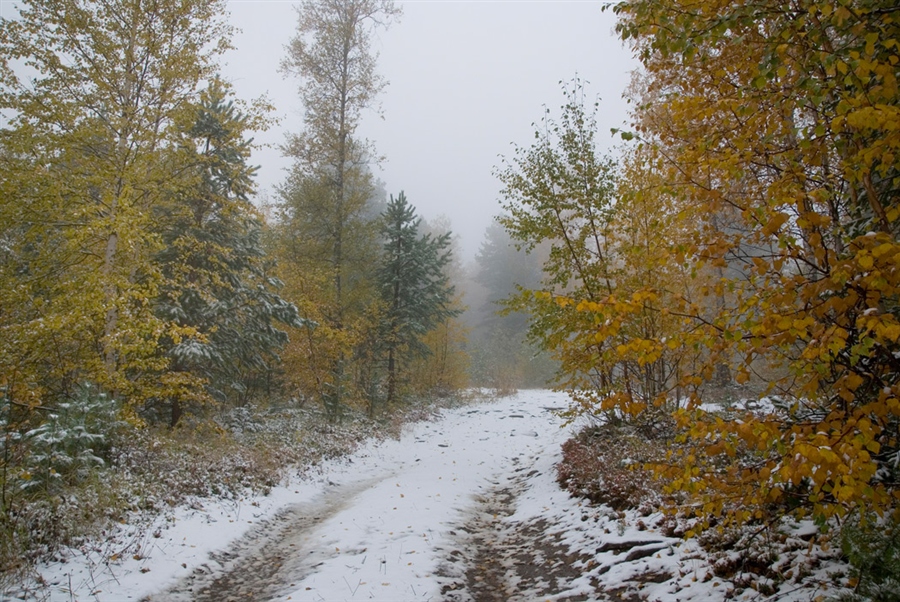 Фото жизнь