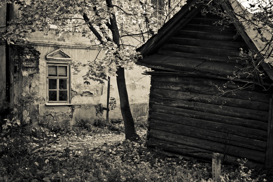 Фото жизнь