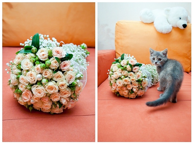 Фото жизнь (light) - Александр Заплацински - Свадьбы - ***