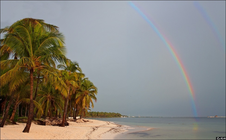 Rainbow above the Bavaro Beach (Dominicana rep.)