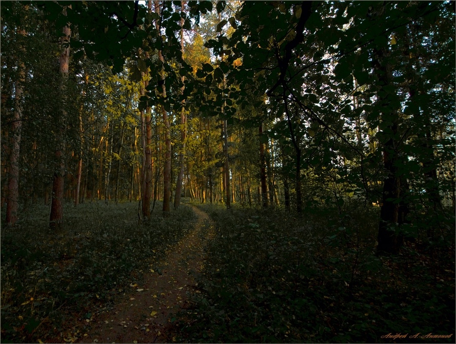 Фото жизнь