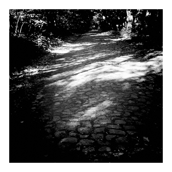Фото жизнь (light) - chveta_neba -  vignette for android & in 100 грамм - 011