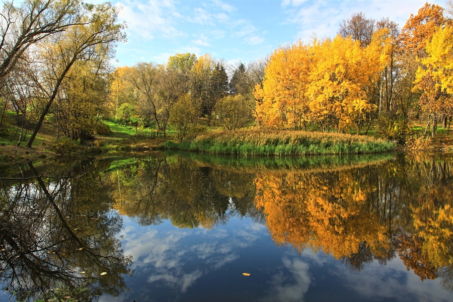 Фото жизнь