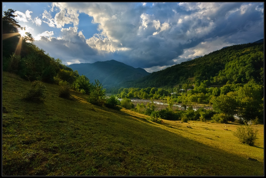 Фото жизнь