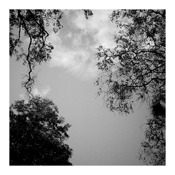 Фото жизнь (light) - chveta_neba -  vignette for android & in 100 грамм - 014