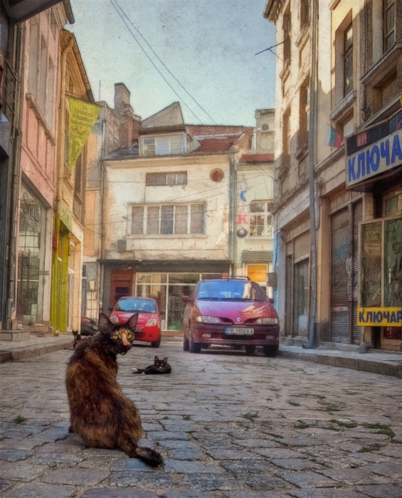 Фото жизнь