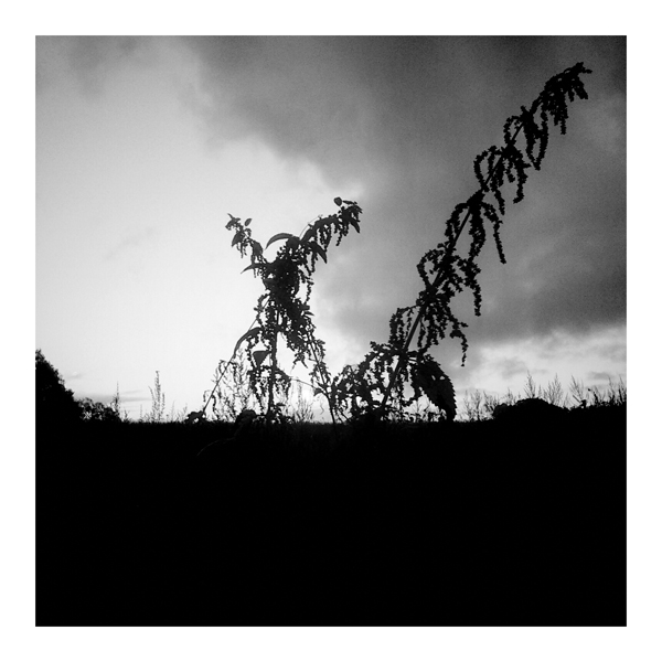 Фото жизнь (light) - chveta_neba -  vignette for android & in 100 грамм - 023