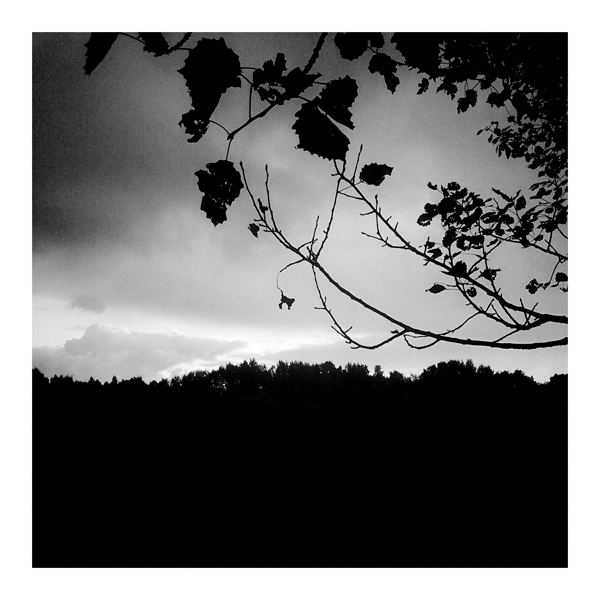 Фото жизнь (light) - chveta_neba -  vignette for android & in 100 грамм - 024