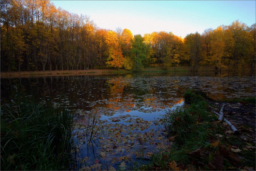 Фото жизнь