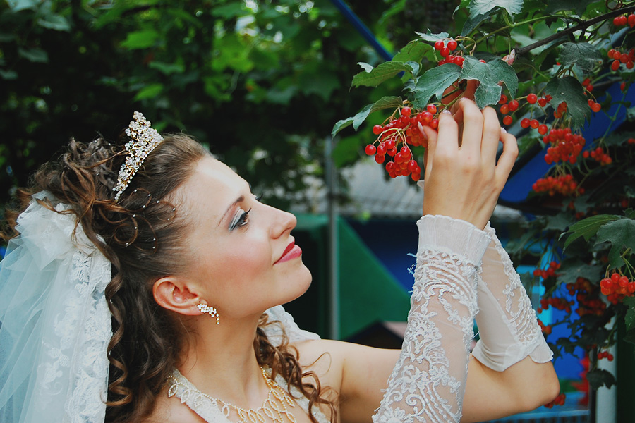 Фото жизнь - Zorkiy_Sokol - wedding - калина красная