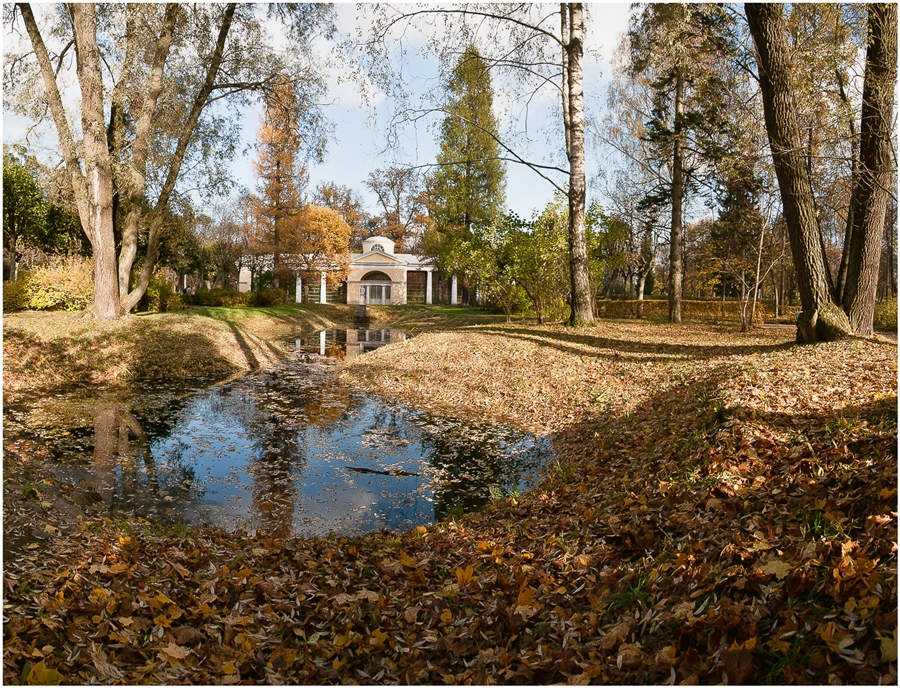 Фото жизнь