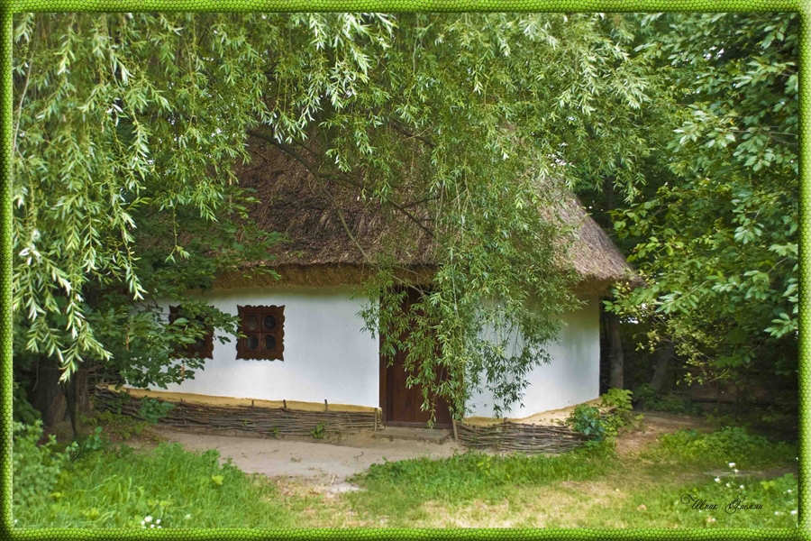 Фото жизнь