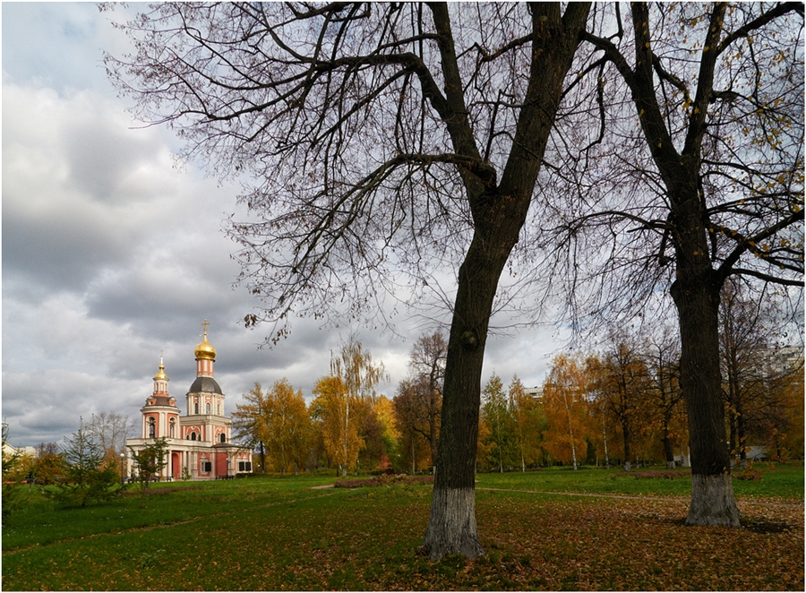 Фото жизнь