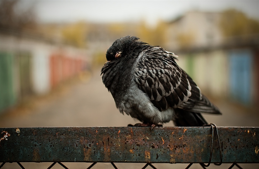 Фото жизнь