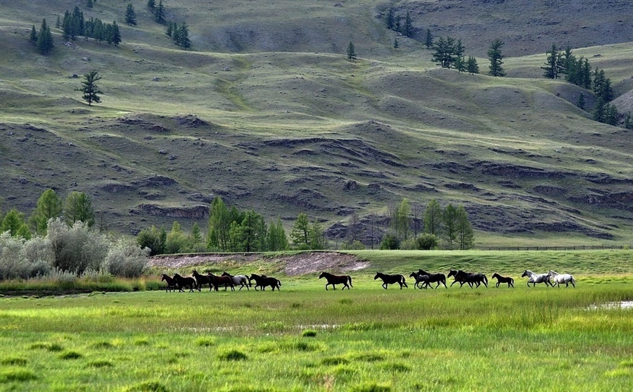 Фото жизнь