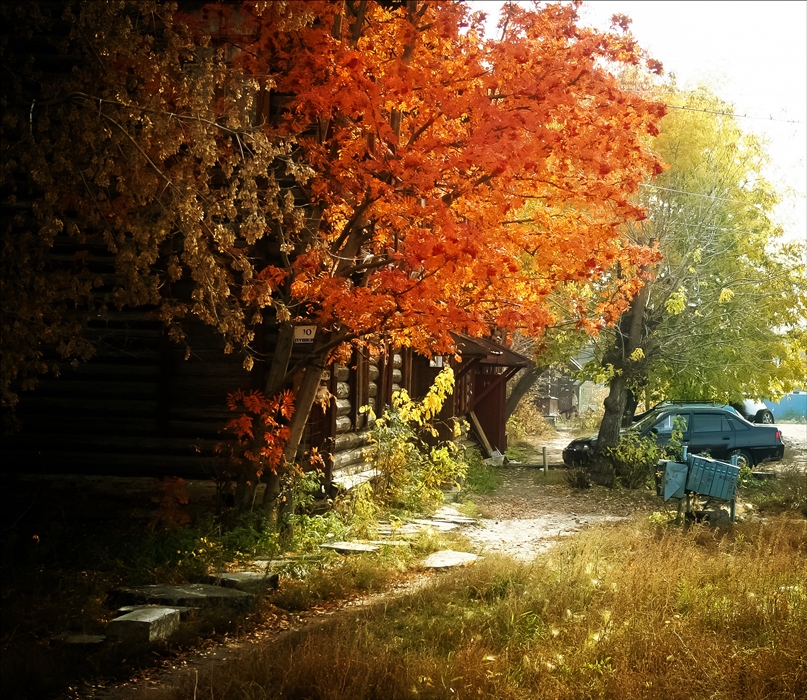 Фото жизнь