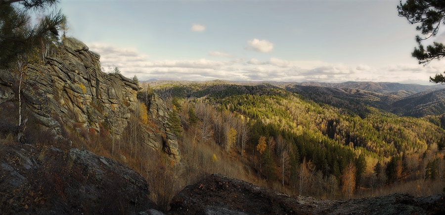 Фото жизнь