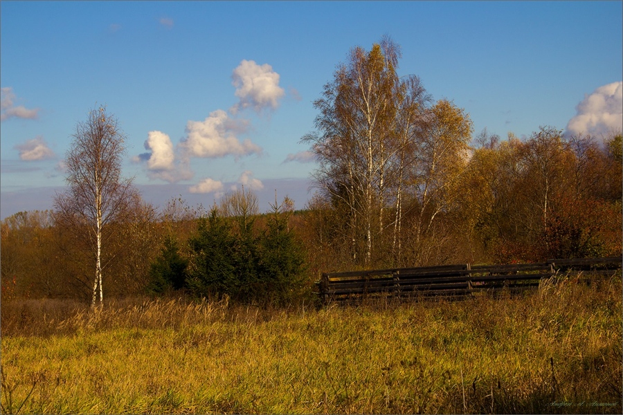 Фото жизнь