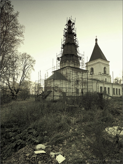 Фото жизнь