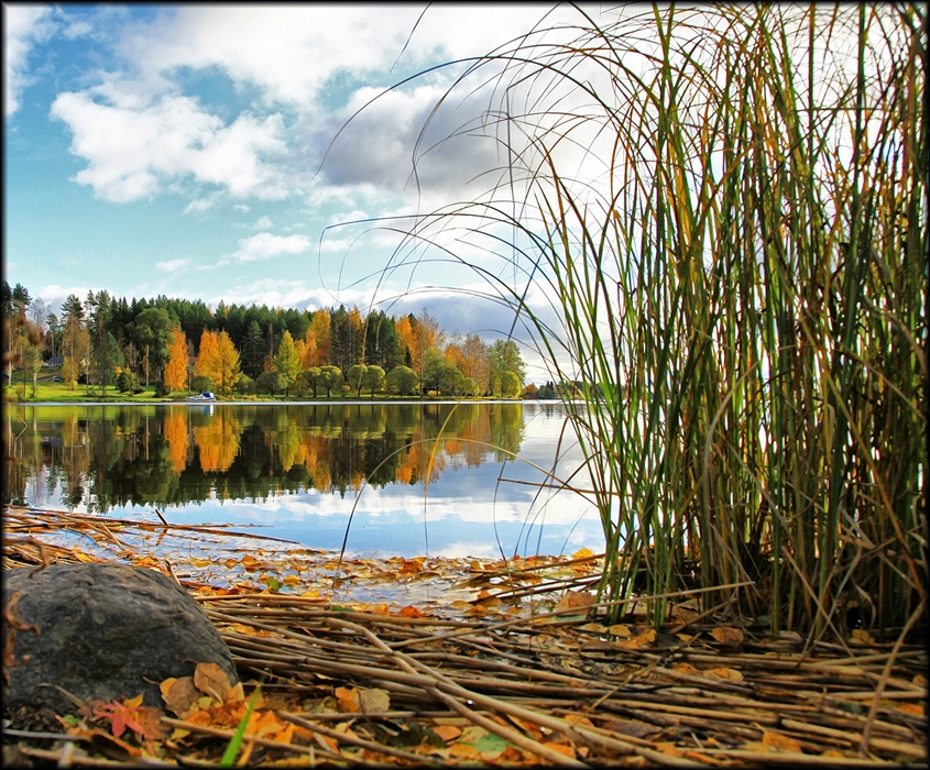 Фото жизнь