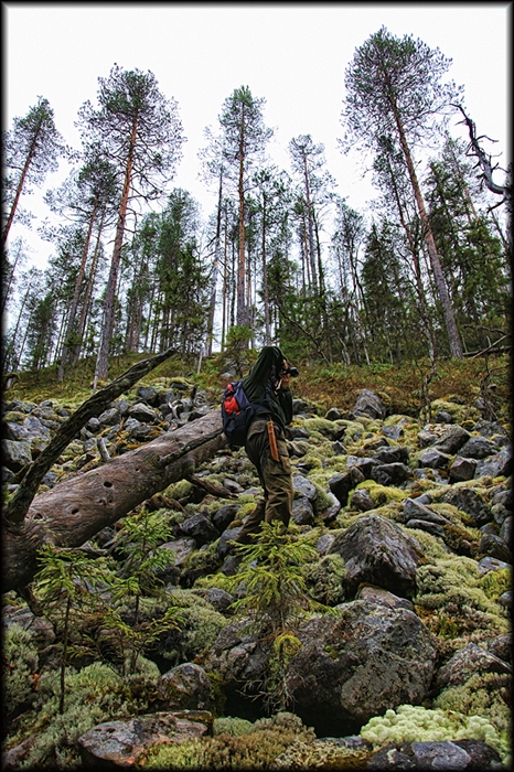 Фото жизнь