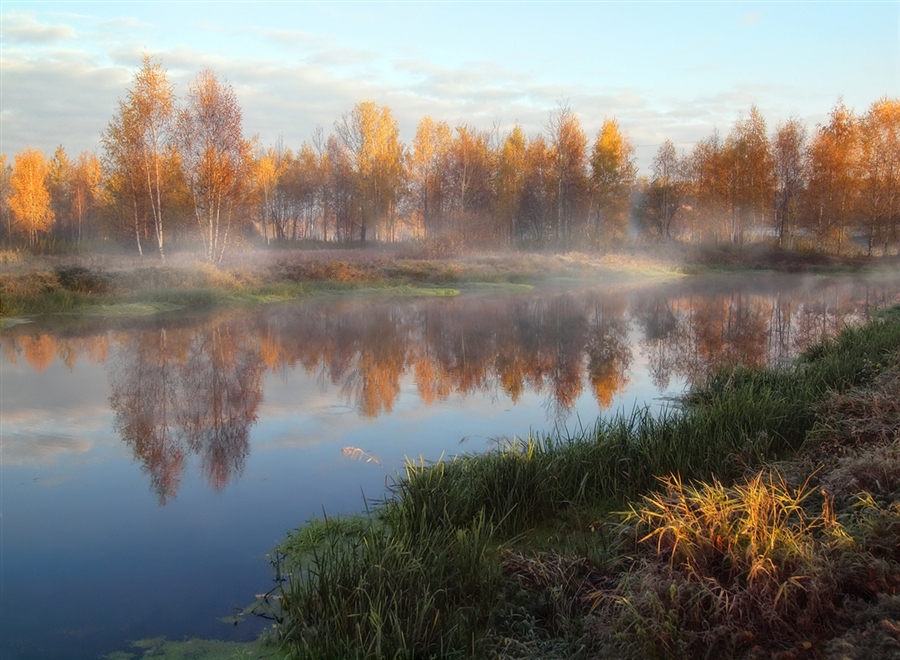 Фото жизнь