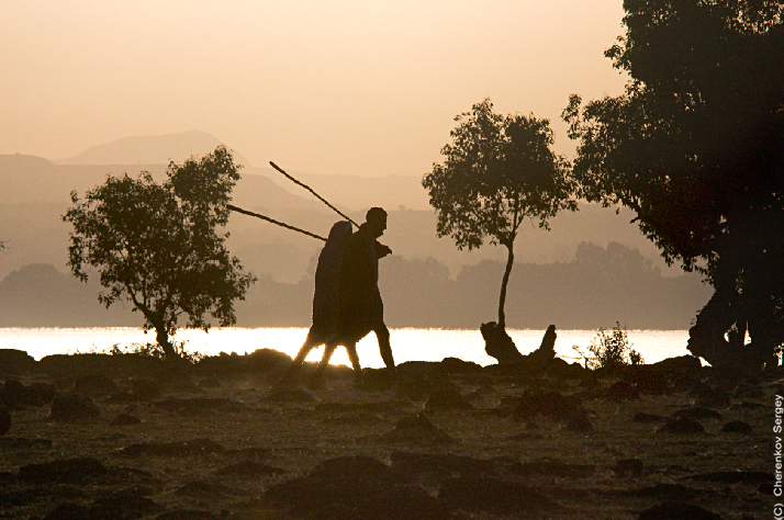 Фото жизнь (light) - Sergey Cherenkov - АЛЬБОМ Эфиопия (Ethiopia) - Пастухи оз. Тана