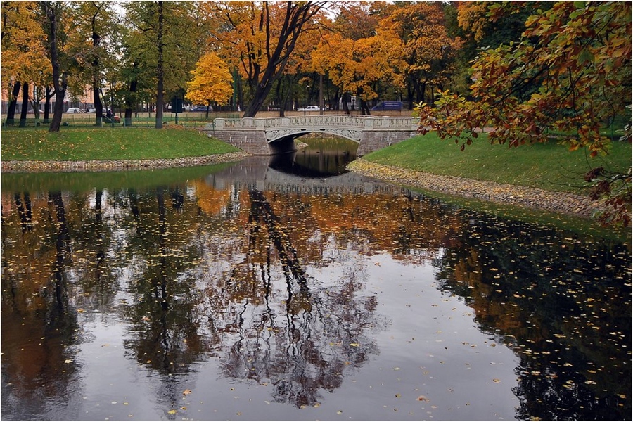 Фото жизнь