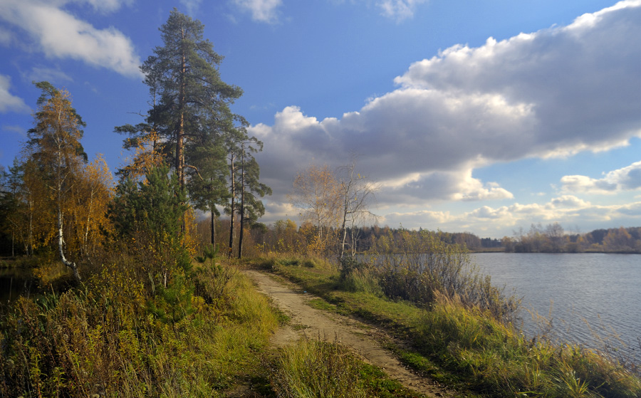 Фото жизнь - Владимир Носов - корневой каталог - Сосны у озера недалеко от деревни Иванисово