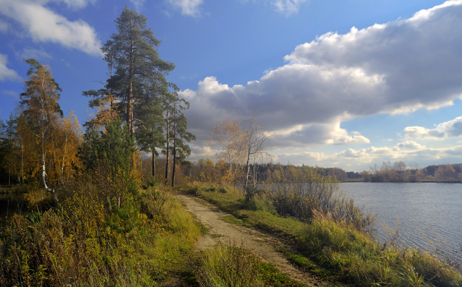 Фото жизнь