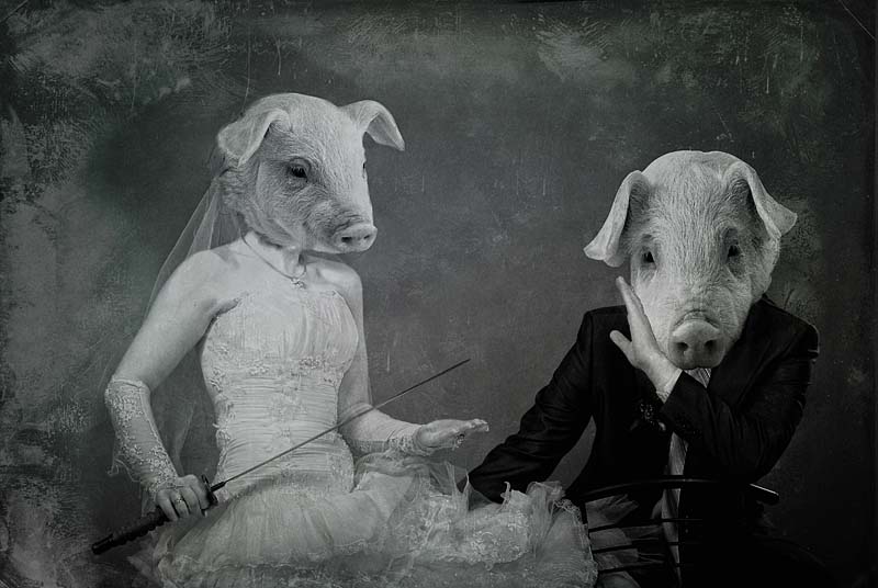 Фото жизнь (light) - irishka_r - Психоделические картинки - А за "свинью" - ответишь!